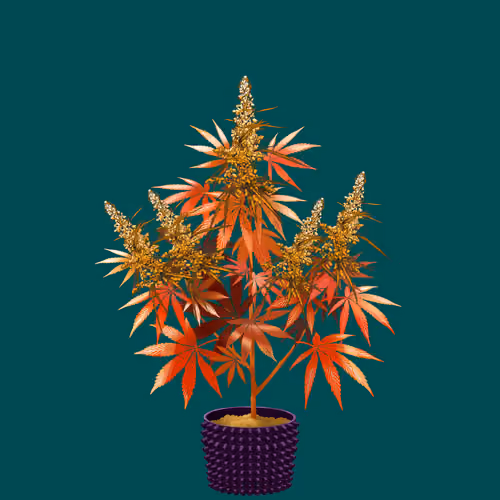 NFTokin #7141