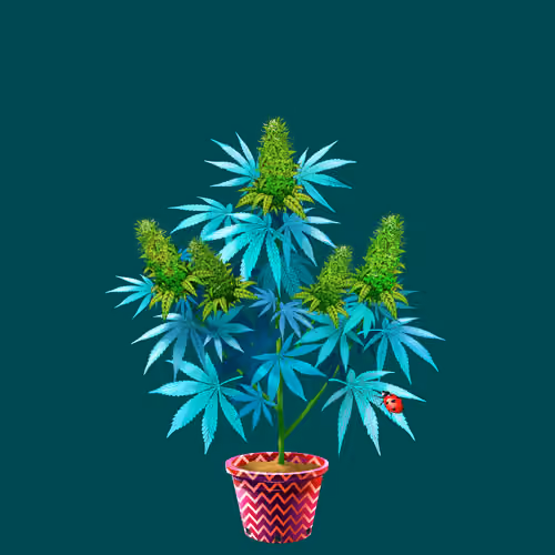 NFTokin #8302