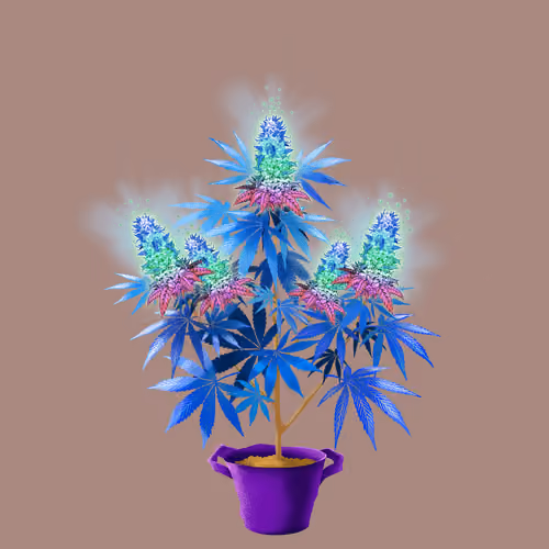 NFTokin #9284