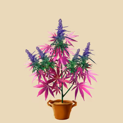 NFTokin #6958