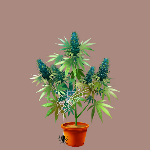 NFTokin #10956