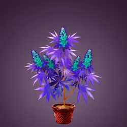 NFTokin #283