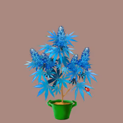 NFTokin #8631
