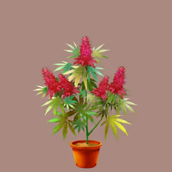 NFTokin #1009