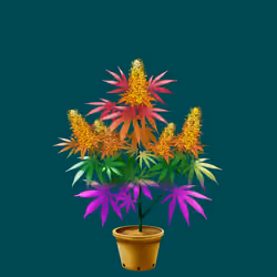 NFTokin #10512