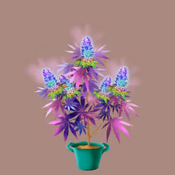 NFTokin #276