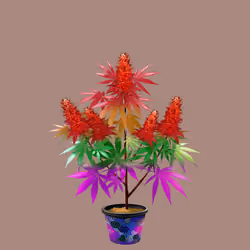 NFTokin #12713