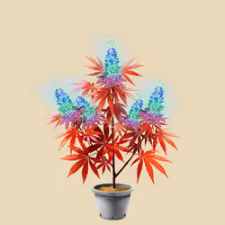 NFTokin #7734
