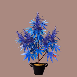 NFTokin #894