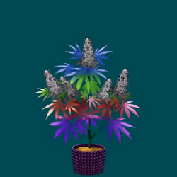 NFTokin #7040
