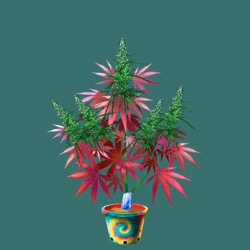 NFTokin #9736