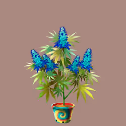 NFTokin #6254