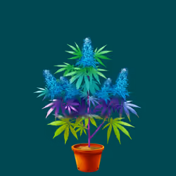 NFTokin #4761