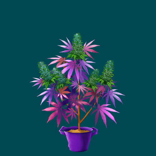 NFTokin #11787