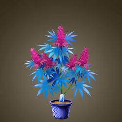 NFTokin #10805