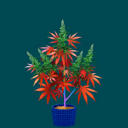 NFTokin #5046