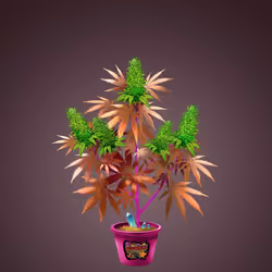 NFTokin #4973