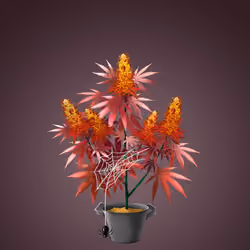 NFTokin #1809