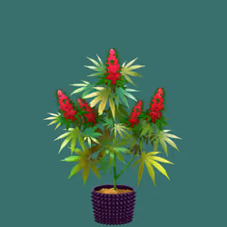 NFTokin #3216