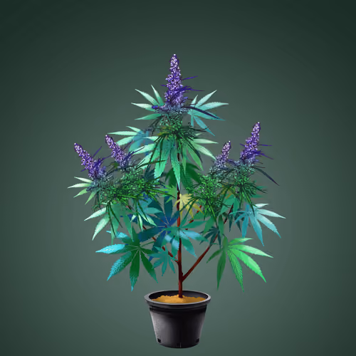 NFTokin #9027