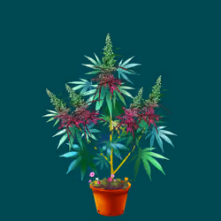 NFTokin #10675