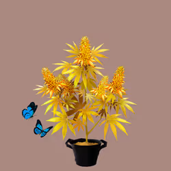 NFTokin #9103