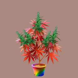 NFTokin #4601