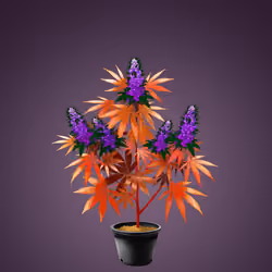 NFTokin #11064