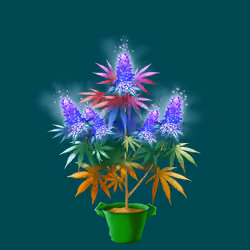 NFTokin #6819