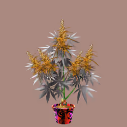 NFTokin #12130