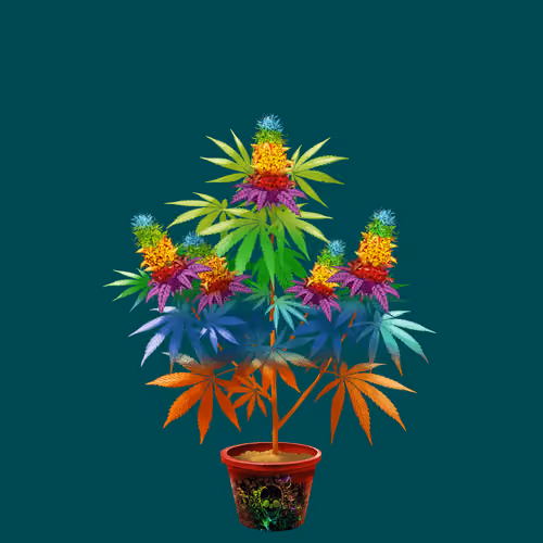 NFTokin #9766