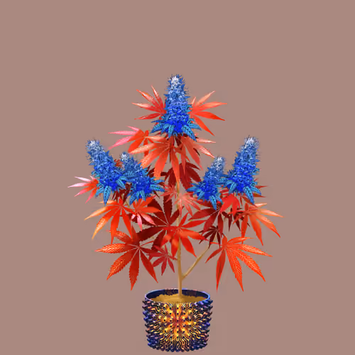 NFTokin #11755