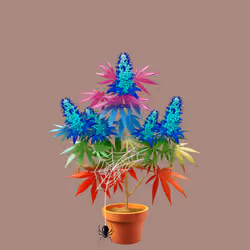 NFTokin #11470