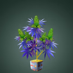 NFTokin #4445