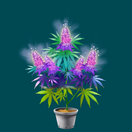 NFTokin #7794