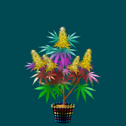 NFTokin #5750