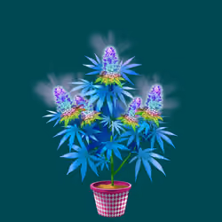 NFTokin #7234