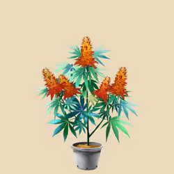 NFTokin #9812