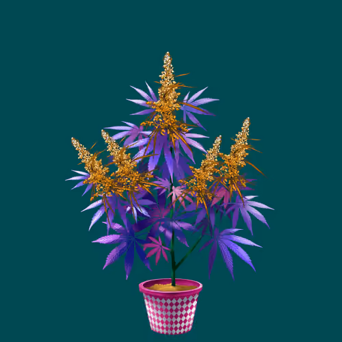 NFTokin #6840