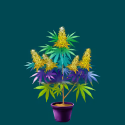 NFTokin #12297