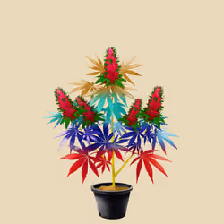 NFTokin #3125