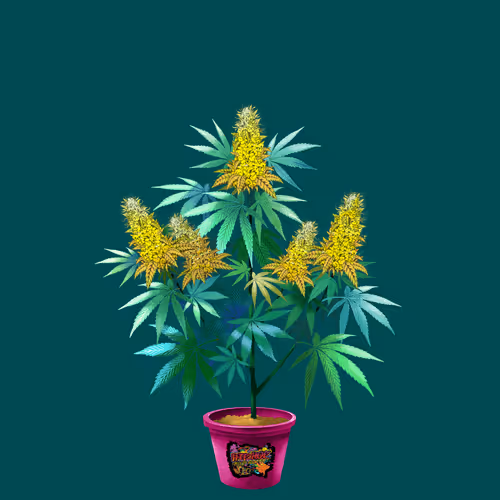 NFTokin #10331