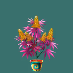 NFTokin #2578