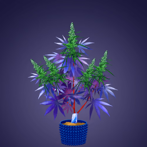 NFTokin #12499