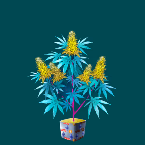 NFTokin #12307