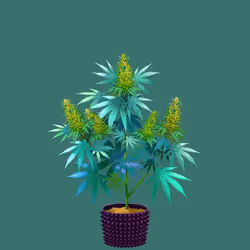 NFTokin #1411