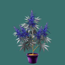 NFTokin #7544