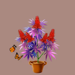 NFTokin #1250