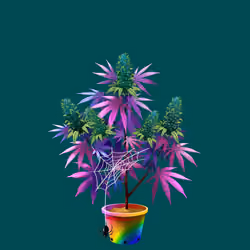NFTokin #12777