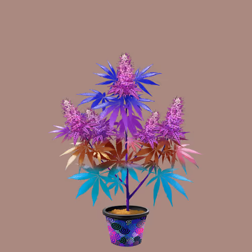 NFTokin #5655